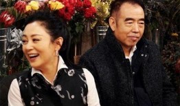 陈凯歌保姆爆料视频大全,揭秘明星家庭幕后真相