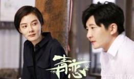 cctv1电视剧,传奇人生，家国情怀