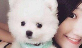 博美爆料新闻视频播放