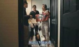 a片日本电影在线观看,在线观看背后的秘密与争议