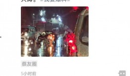 蔡甸媒体爆料事件视频,视频揭露惊人真相