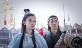 孤芳不自赏电视剧,宫廷权谋与爱情纠葛的华丽演绎