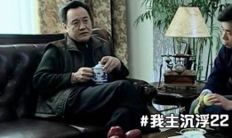 我主沉浮电视剧,权谋与爱情的巅峰对决