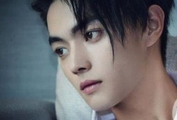 娱乐圈真实爆料许凯白鹿,娱乐圈甜蜜恋情背后的真相