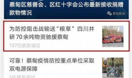 蔡甸媒体爆料事件视频,视频揭露惊人真相