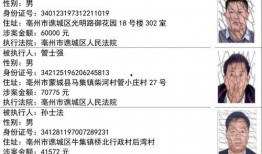 爆料四川观察人员名单最新,最新爆料揭示神秘阵容