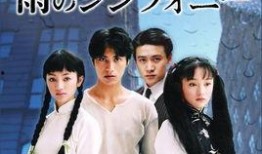 像雾像雨又像风电视剧,情感纠葛与命运交织的都市传奇