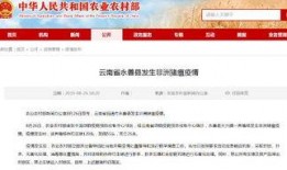 广东农业新闻爆料电话,守护绿色田野，倾听农情心声