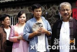阿郎电视剧,情动江湖，爱恨交织的传奇人生