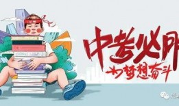 新河爆料最新消息视频,最新视频揭秘事件真相