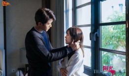 电视剧阳光之下,揭开尘封往事，探寻正义之光