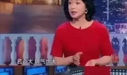 圈内爆料男明星道歉,男星道歉事件幕后揭秘