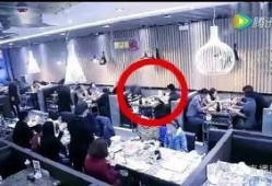 餐厅爆料视频大全下载,一窥美食背后的秘密