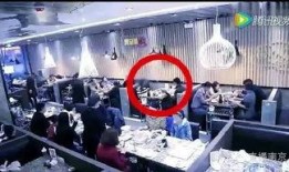 餐厅爆料视频大全下载,一窥美食背后的秘密