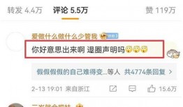 桃溪粉丝爆料视频大全集,揭秘幕后故事与精彩瞬间