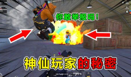 吃鸡爆料侠客视频大全最新,揭秘热门游戏幕后故事与精彩瞬间