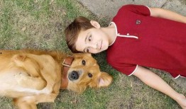 娱乐吃瓜酱千狗,揭秘娱乐圈背后的那些事儿