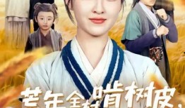 电视剧免费网站,揭秘热门电视剧免费观看的秘密基地