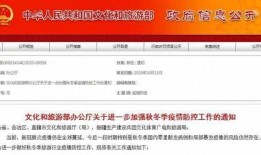 如何看最新爆料信息,深度解析事件背后真相