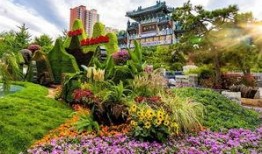 洛阳植物园爆料案件最新,惊现神秘盗窃案，真相即将揭晓