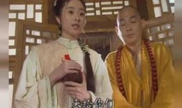 方世玉电视剧,武林传奇，少年英雄的江湖征程