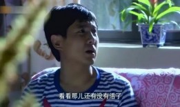 你是我的眼电视剧,探寻视觉世界的温暖与奇迹