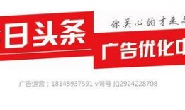 今日头条泉州爆料电话,揭秘城市热点，倾听民声心声”