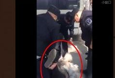 东北妞妞爆料截图视频,揭秘幕后真相