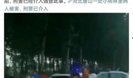 最近唐山爆料案件最新,真相与反思，社会治安再引关注