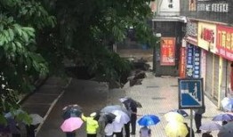 淮北鹰山中路最新爆料,繁华地段焕新升级，未来潜力无限