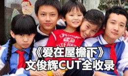 爱在屋檐下电视剧全集60,情感纠葛与命运交织的感人故事