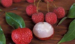 水果贩子爆料视频下载,真实水果市场内幕大曝光