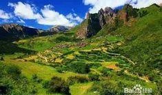 甘南最新爆料,揭秘神秘事件背后的真相