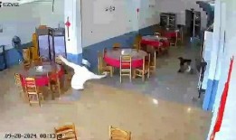 徐州饭店爆料案件视频最新,最新视频揭露惊人内幕