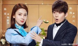 最热电视剧,揭秘中国刑侦界的巅峰对决