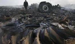 天涯最新爆料坠机案真相,天涯最新爆料，坠机案背后惊人真相曝光