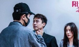 电视剧阳光之下,揭开尘封往事，探寻正义之光