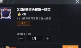 和平精英ss12赛季最新爆料,全新爆料揭秘，战火再燃，荣耀归来！