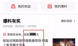 头条爆料视频审核要多久,约需30分钟