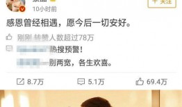 娱乐圈经典吃瓜小说,瓜田里的明星秘闻