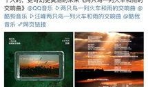 知情人爆料今日头条视频,今日头条视频幕后真相大揭秘