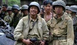 抗日的电视剧,抗日英雄的壮丽征程