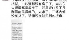 武汉房市爆料最新消息