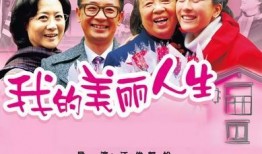 电视剧美丽人生,二战背景下的人性光辉与父爱传奇