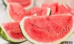 网红瓜有哪些人喜欢吃,揭秘那些美食达人的味蕾偏好