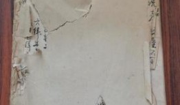 锦州探店爆料视频大全最新,盘点热门美食攻略，带你领略锦州风味！