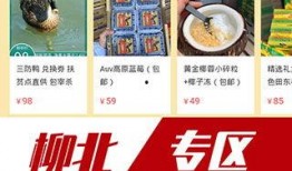 家园最新爆料视频大全下载,揭秘幕后真相，带你走进神秘世界