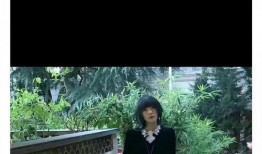 刘大锤爆料邓凯视频,真相大白！