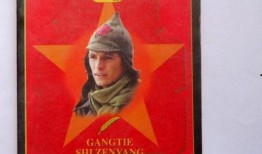 电视剧钢铁是怎样炼成的,钢铁是怎样炼成的