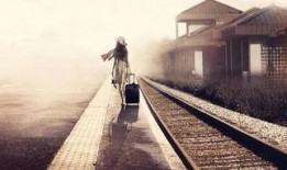 世界的一半在线观看,全球一半网民共赴线上盛宴